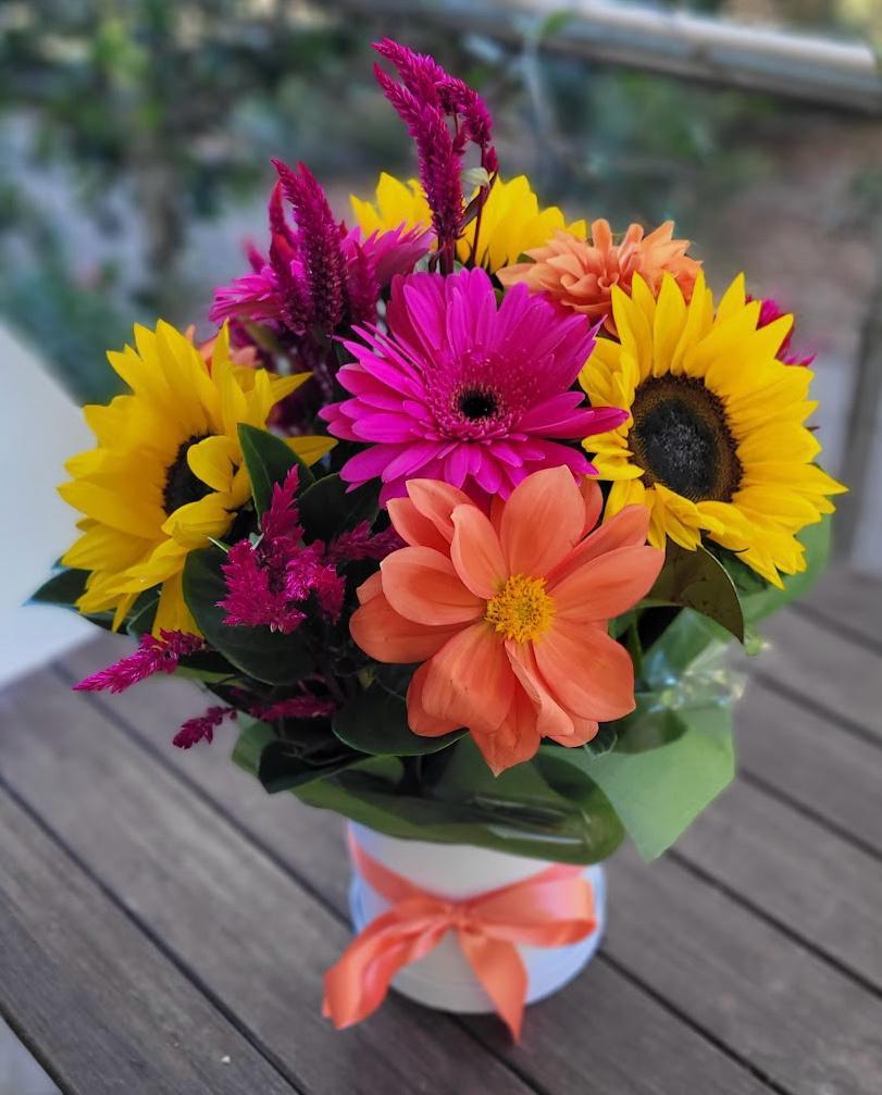 Bright delight